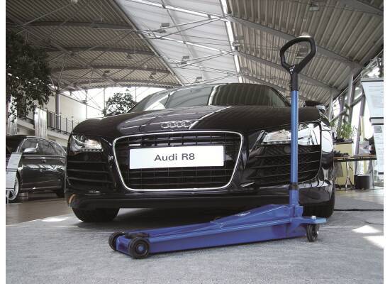 Podnośnik typu żaba DK13HLQ 